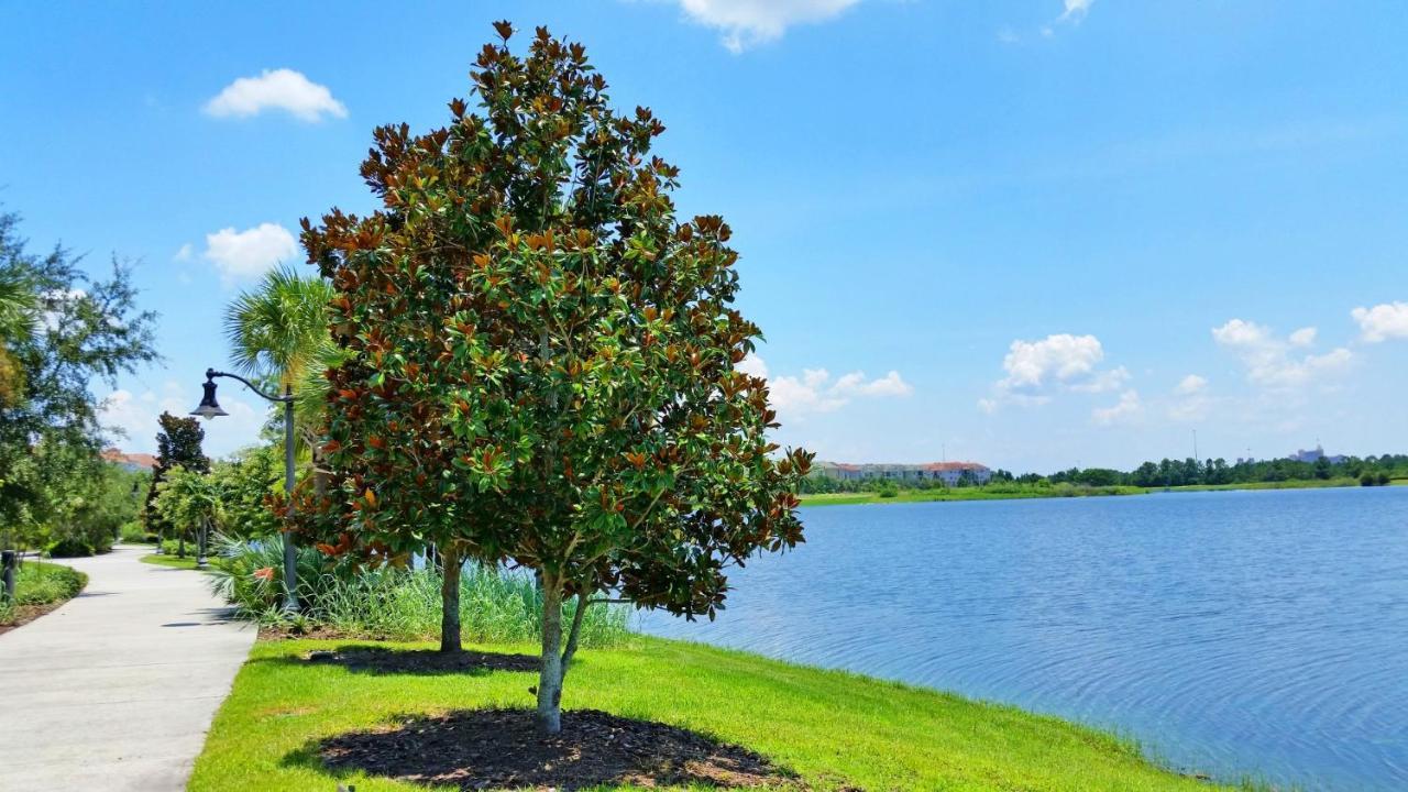 Luxury Vacation In This Gorgeous Vista Cay Condo كيسيمي المظهر الخارجي الصورة